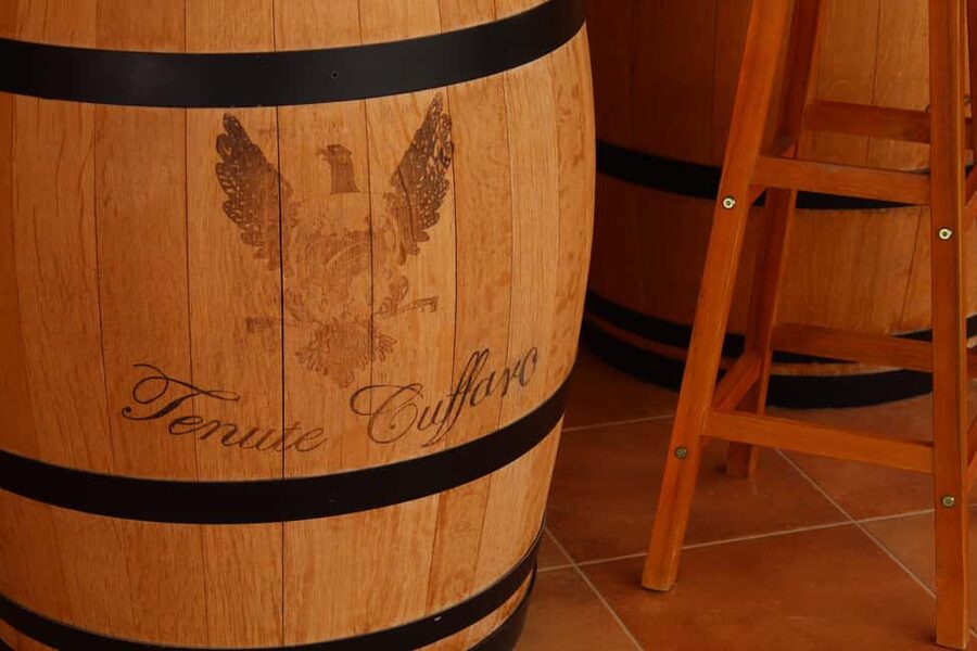 Agrigento: Wine tasting and walk in the vineyards. - From Agrigento to a Working Sicilian Vineyard