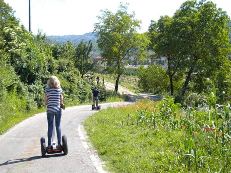 Alba: Guided Segway Tour through Langhe Hills and Vineyards - Riding between Langhe vineyards