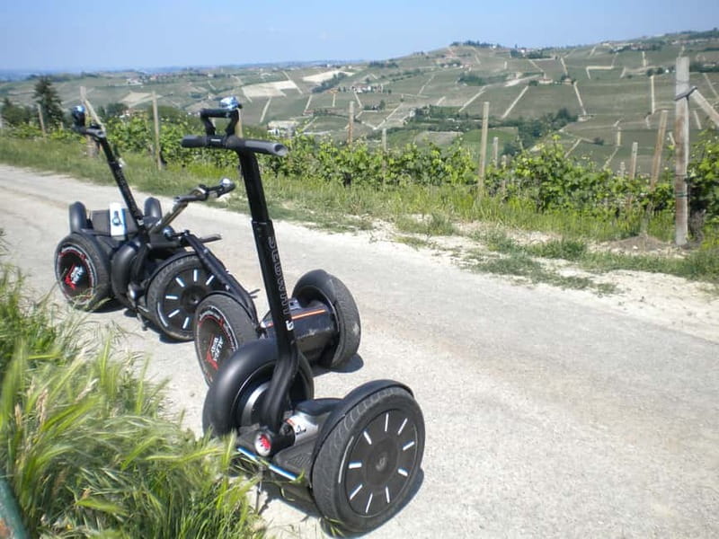 Alba: Guided Segway Tour through Langhe Hills and Vineyards - The panoramic point above Alba