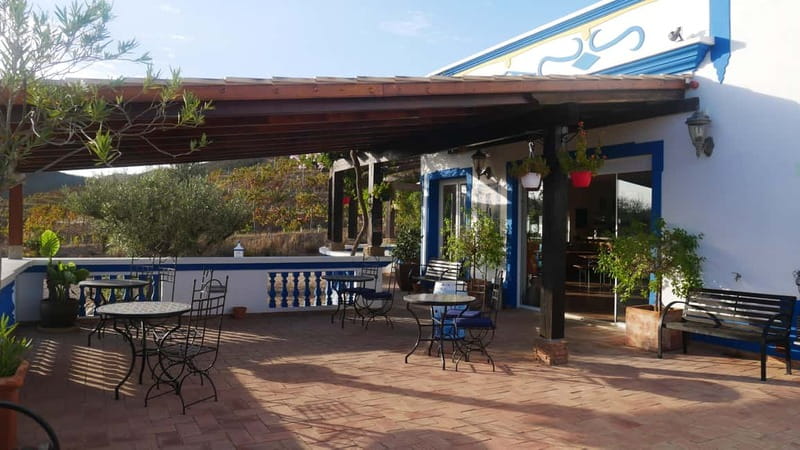 Albufeira, Olhão, Faro: Visit a vineyard, Free time in Silves - Starting in Olhão, Faro, or Albufeira