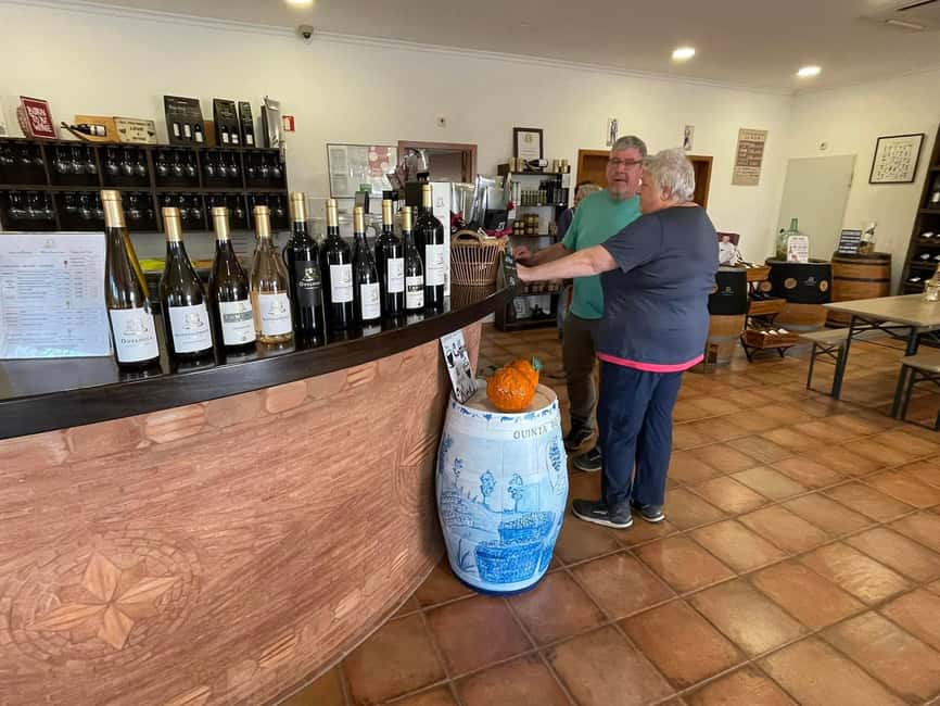Albufeira, Olhão, Faro: Visit a vineyard, Free time in Silves - Three wines with Algarve tapas