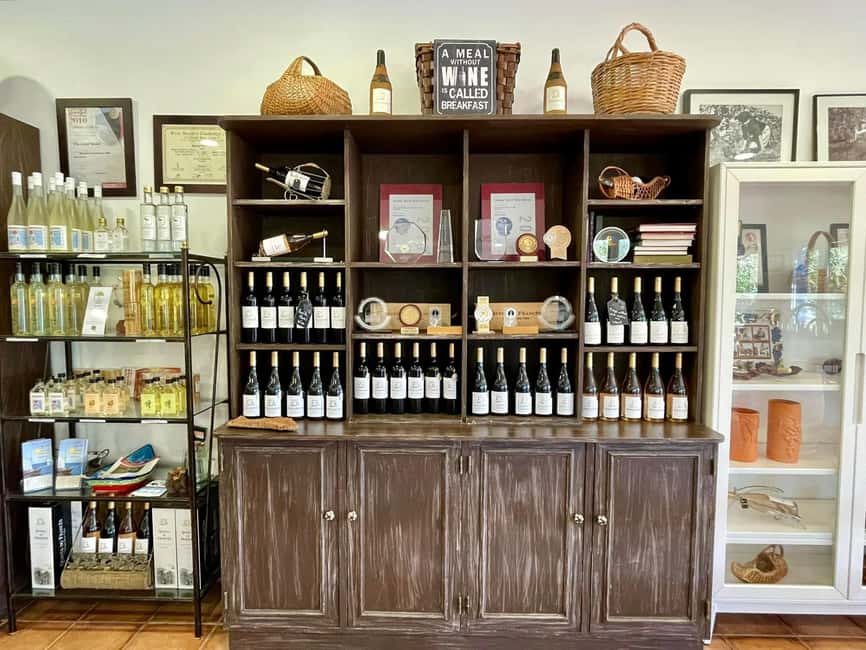Albufeira, Olhão, Faro: Visit a vineyard, Free time in Silves - What makes Silves worth the stop