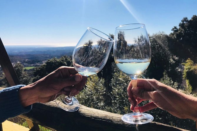 Albufeira Wine Tour: 2 Vineyards, 6 Tastings & Historic Silves - Paxá Wines brings a different point of view