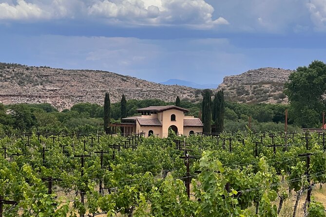 Alcantara Estate Vineyards Tasting Experience - Three Hours at the Vineyard
