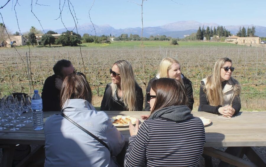 Alcúdia/Can Picafort: Guided Vineyard Visit and Wine Tasting - Who will enjoy this wine tour most?
