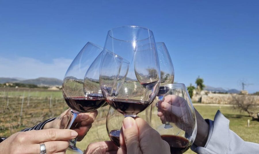 Alcúdia/Can Picafort: Guided Vineyard Visit and Wine Tasting - Walking through the vineyard