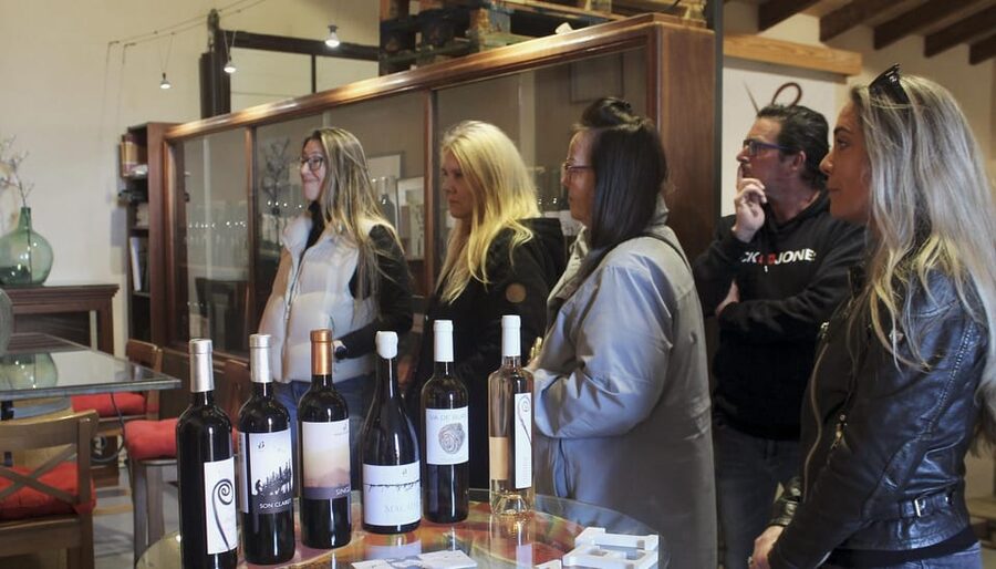 Alcúdia/Can Picafort: Guided Vineyard Visit and Wine Tasting - Inside the cellar and barrel room
