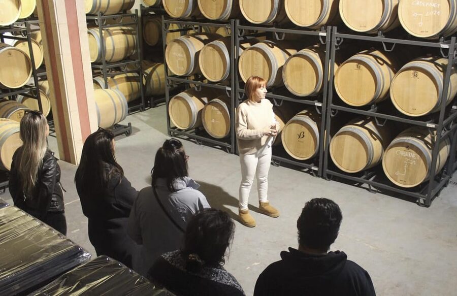 Alcúdia/Can Picafort: Guided Vineyard Visit and Wine Tasting - Tasting five wines with Mallorcan products
