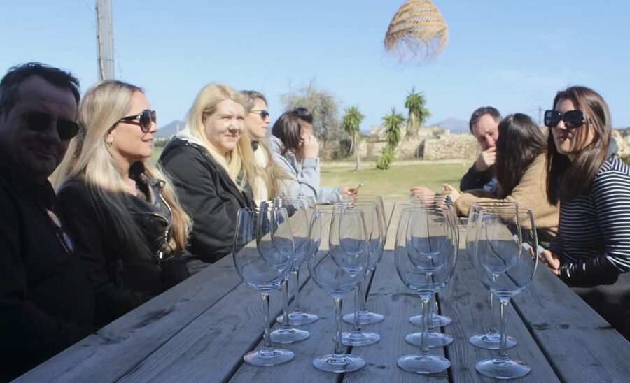 Alcúdia/Can Picafort: Guided Vineyard Visit and Wine Tasting - The view from the tasting terrace