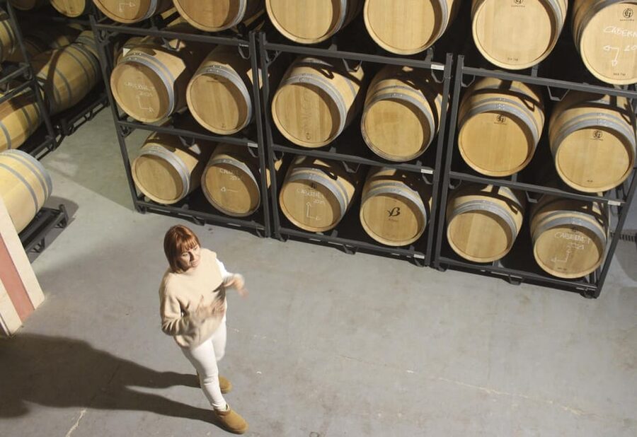Alcúdia/Can Picafort: Guided Vineyard Visit and Wine Tasting - Timing, languages, and practical details