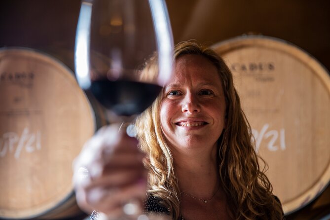 Alcudia Winecellar Tour with Vineyard Visit, Tasting of 5 Wines - What happens from the 3:30 pm meeting time