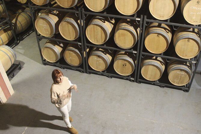 Alcudia Winecellar Tour with Vineyard Visit, Tasting of 5 Wines - Five wines and locally sourced snacks