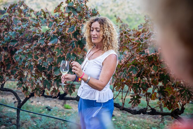 Alcudia Winecellar Tour with Vineyard Visit, Tasting of 5 Wines - Vineyard views and the value of place