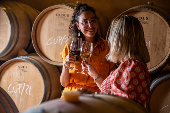 Alcudia Winecellar Tour with Vineyard Visit, Tasting of 5 Wines - Is $53.52 a fair price?