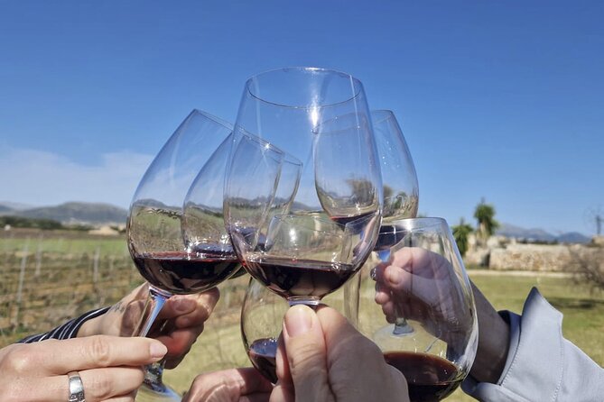 Alcudia Winecellar Tour with Vineyard Visit, Tasting of 5 Wines - Booking, weather, and cancellation details