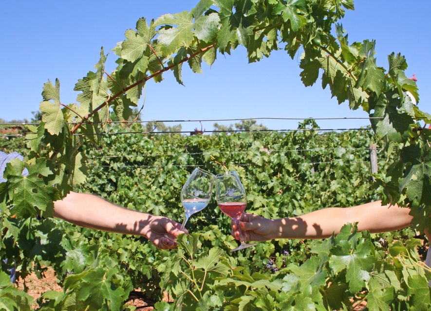 Algarve: 3 Types of Wine Tastings with Vineyard Views - A relaxed wine stop at Quinta dos Vales