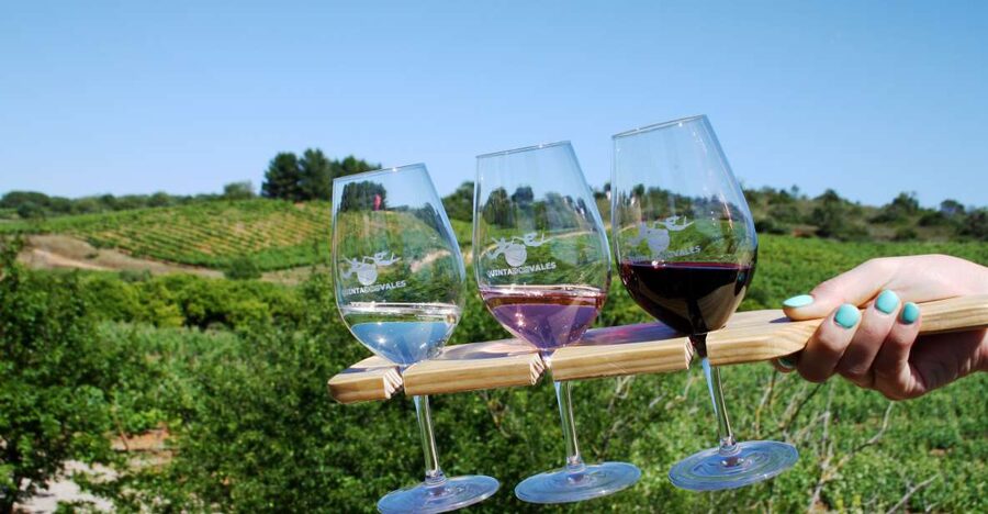 Algarve: 3 Types of Wine Tastings with Vineyard Views - Red or white: making the choice