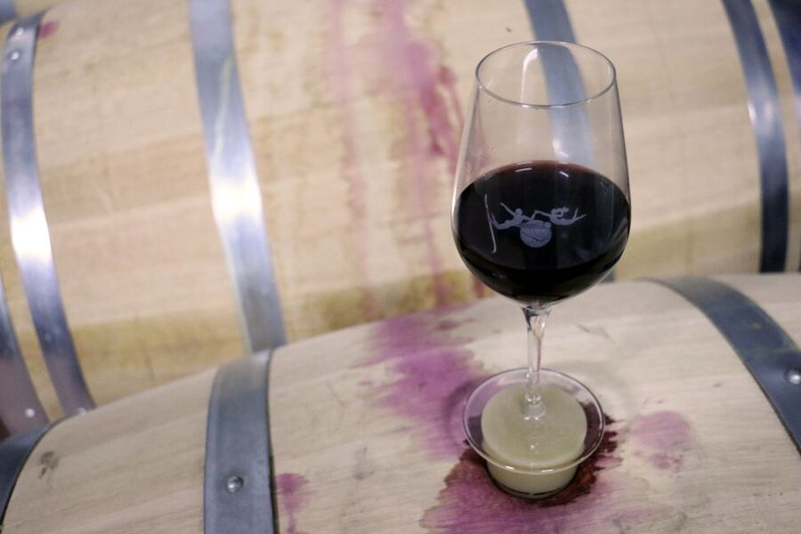 Algarve: 3 Types of Wine Tastings with Vineyard Views - The terrace is part of the experience