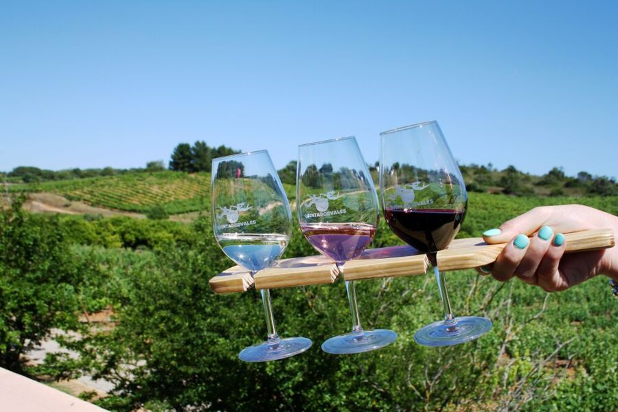 Algarve: 3 Types of Wine Tastings with Vineyard Views - Flexible timing, with one important limit