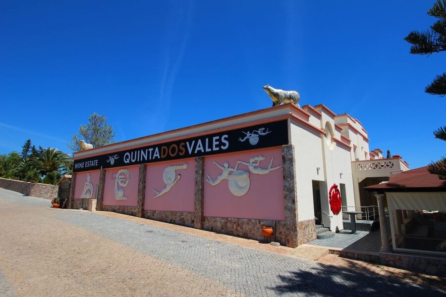 Algarve: 3 Types of Wine Tastings with Vineyard Views - What the $19 price gets you
