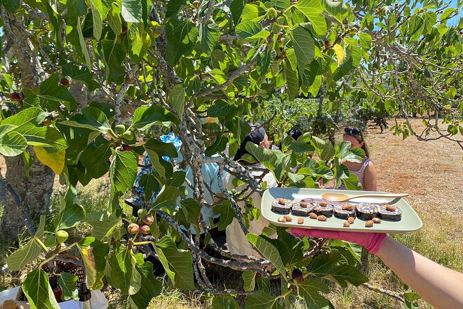 Algarve Romantic Vineyard Picnic in Carvoeiro - Booking, weather, and practical details