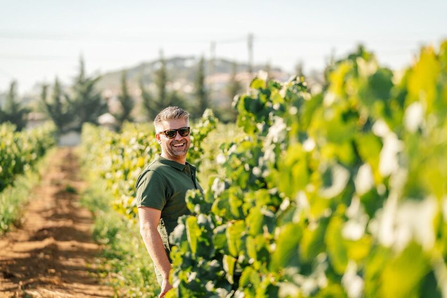Algarve: Vineyard Tour & Premium Wine Tasting in Silves - Inside the cellar and barrel room