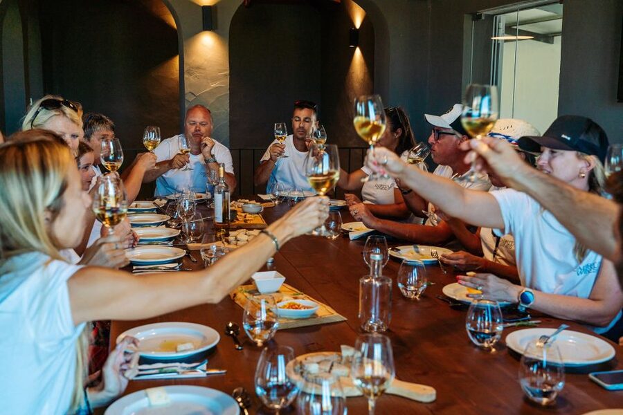 Algarve: Vineyard Tour & Premium Wine Tasting in Silves - What the guide adds to the visit