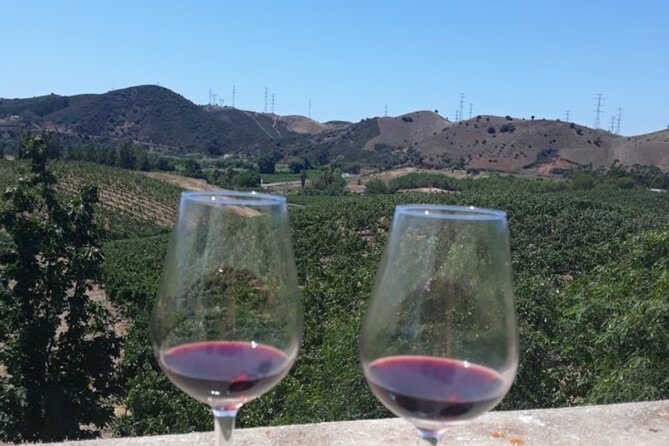 Algarve wine tour and farmer's lunch at wine estate - Fabio’s role makes the wine easier to understand