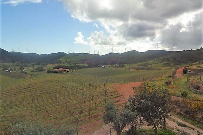 Algarve wine tour and farmer's lunch at wine estate - Quinta do Morgado da Torre, a final comparison
