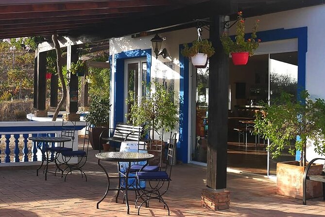 Algarve wine tour and farmer's lunch at wine estate - Pickup, timing, and practical details