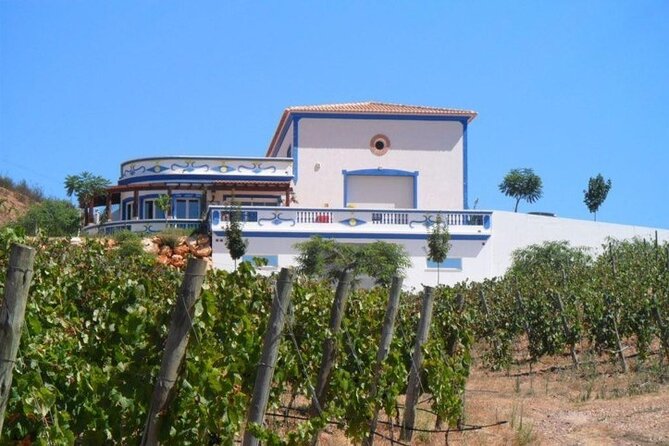 Algarve wine tour and farmer's lunch at wine estate - Who will enjoy this wine tour most