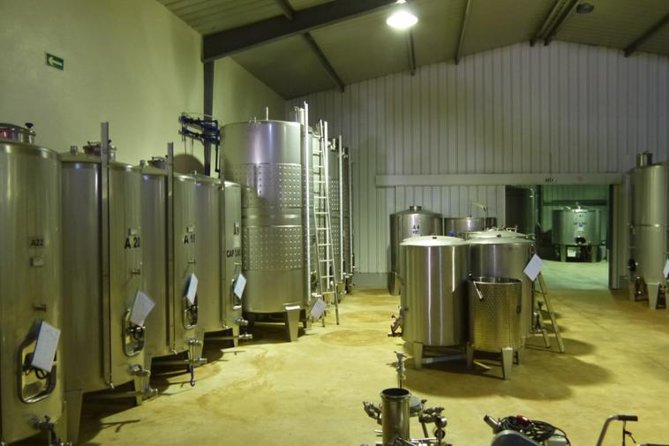 Algarve Wine Tour of Two Wine Estates - Why this is a good introduction to Algarve wine