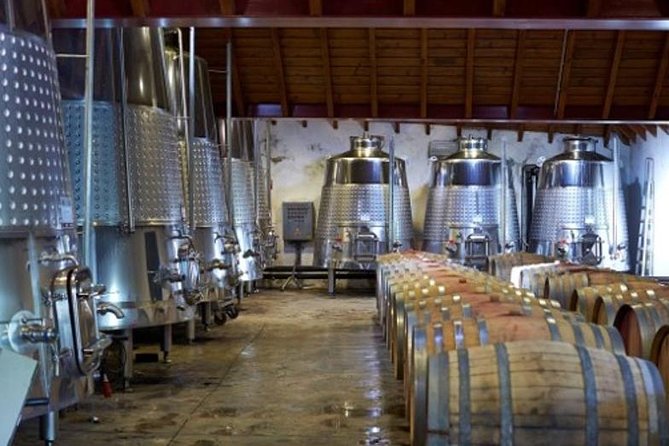 Algarve Wine Tour of Two Wine Estates - Six tastings, but plan your food