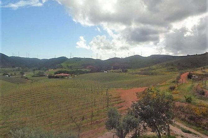 Algarve Wine Tour of Two Wine Estates - What the guide adds to the afternoon