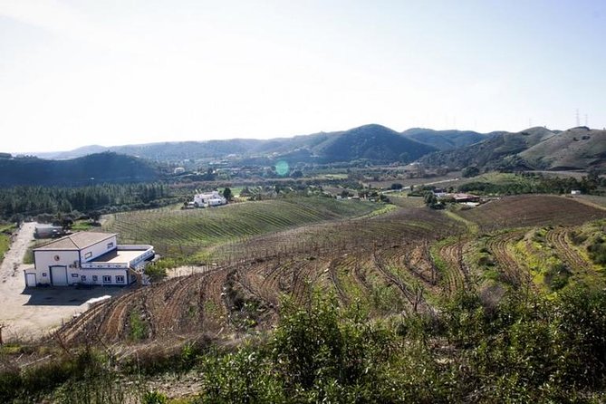 Algarve Wine Tour of Two Wine Estates - Quinta do Francês at the Monchique foothills