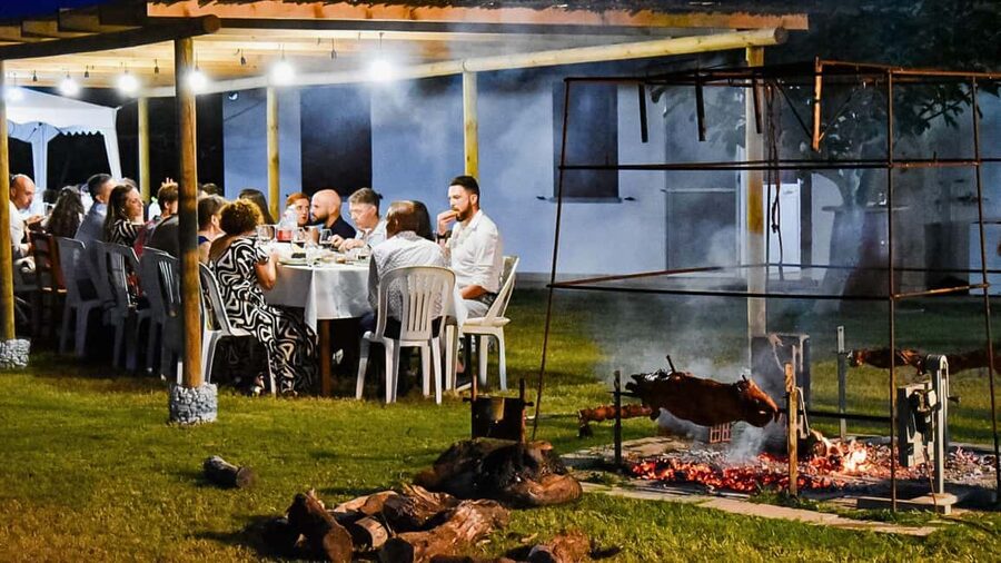 Alghero: lunch or dinner in the vineyard - Wine, atmosphere, and the pace of the evening