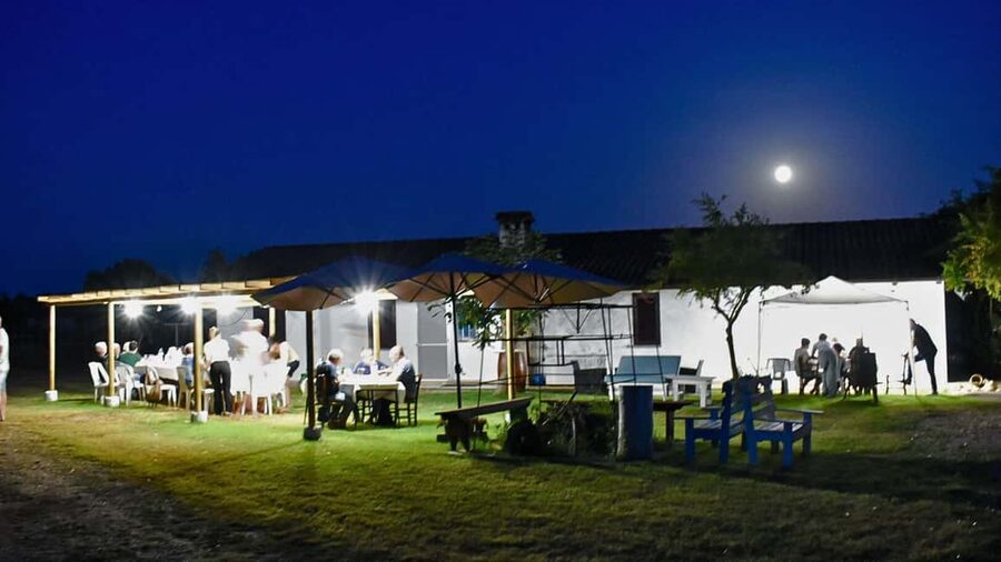 Alghero: lunch or dinner in the vineyard - Is $94 a fair price?