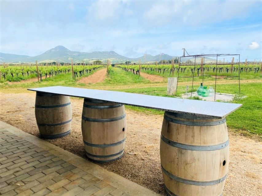 Alghero: wine tasting w/ local aperitif in the vineyard - A Sardinian aperitif from nearby ingredients