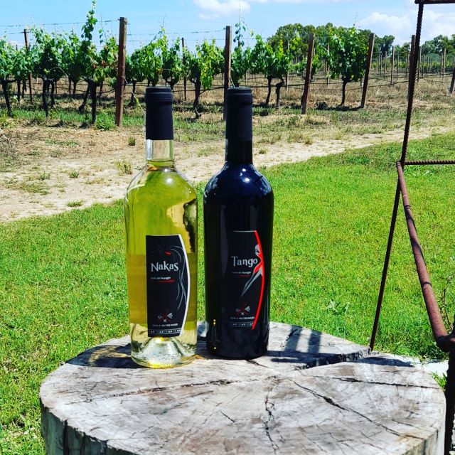 Alghero: wine tasting w/ local aperitif in the vineyard - Practical details before you go