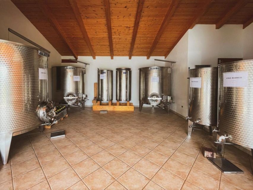 Alghero: wine tasting w/ local aperitif in the vineyard - Four wines, four different pairings