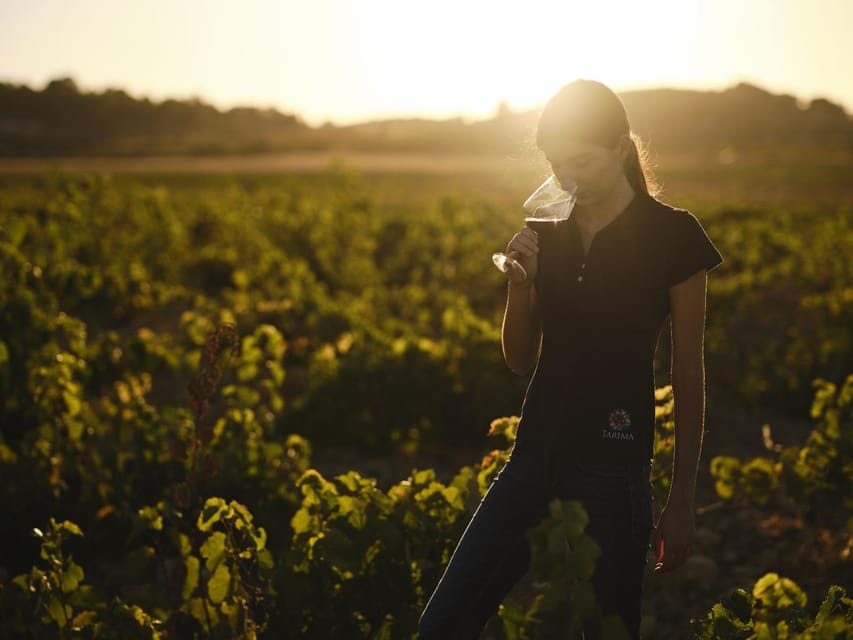 Alicante (Pinoso): Tour Experience Back from the Vineyard to the glass - Tasting four wines with local products
