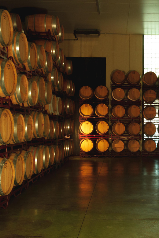 Alicante (Pinoso): Tour Experience Back from the Vineyard to the glass - How much time to allow