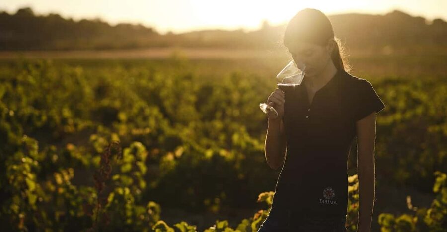 Alicante (Pinoso): Tour Experience Back from the Vineyard to the glass - A clear look at the experience’s strengths and drawbacks