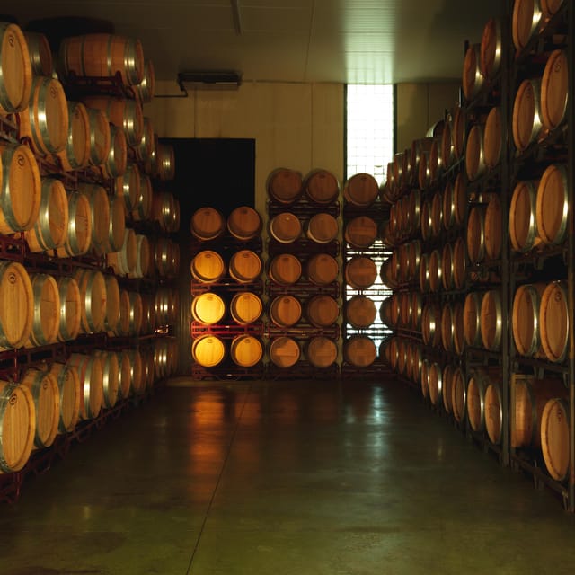 Alicante (Pinoso): Tour Experience Back from the Vineyard to the glass - Seeing how the fruit becomes wine