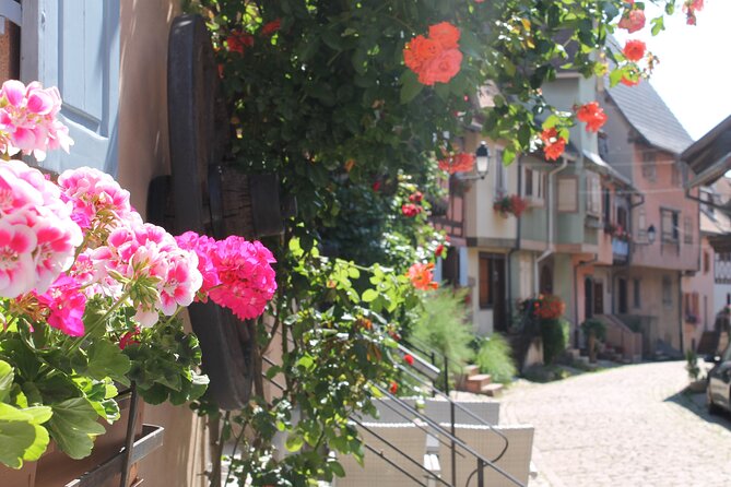 Alsace Wine Route Small Group Half-Day Tour with Tasting from Strasbourg - From Strasbourg to the Alsace Wine Route