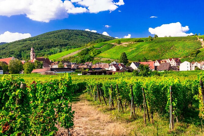 Alsace Wine Route Small Group Half-Day Tour with Tasting from Strasbourg - Second winery: a different style of Alsatian wine