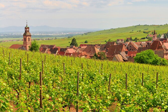 Alsace Wine Route Small Group Half-Day Tour with Tasting from Strasbourg - Why the small group matters