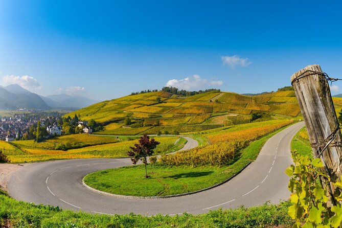 Alsace Wine Route Small Group Half-Day Tour with Tasting from Strasbourg - The authentic winery question