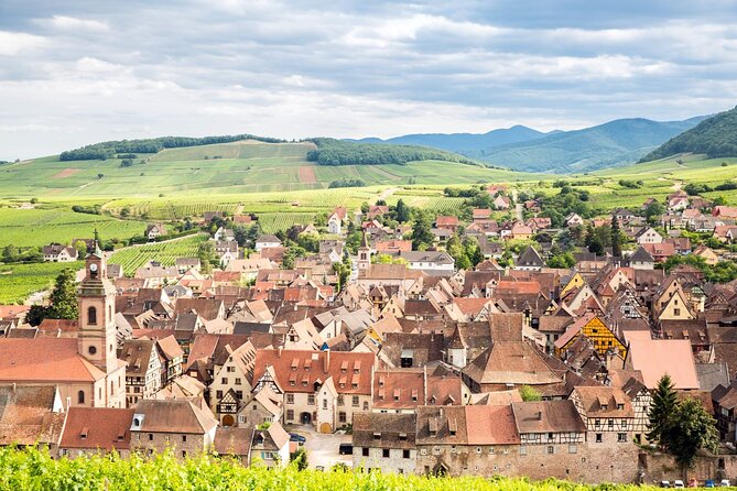 Alsace Wine Route Small Group Half-Day Tour with Tasting from Strasbourg - Who will enjoy this four-hour outing