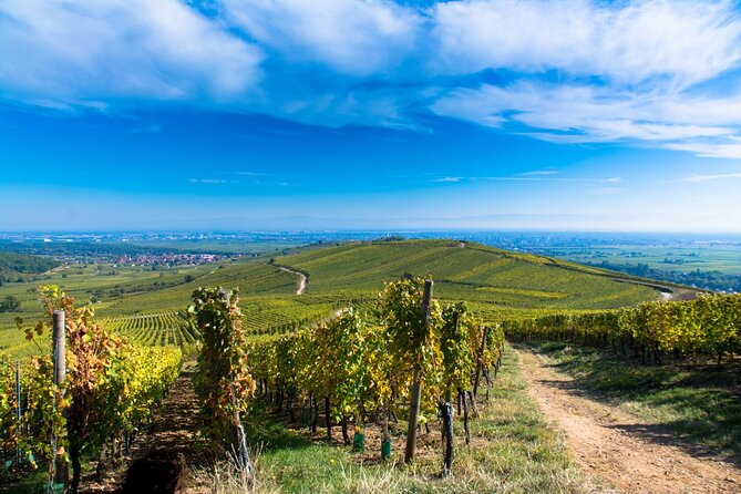 Alsace Wine Route Wineries & Tasting Small Group Guided Tour from Strasbourg - Ribeauvillé and the best-known village views